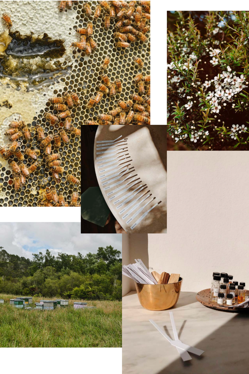 Activist x Bodha Beeswax Eau de Parfum