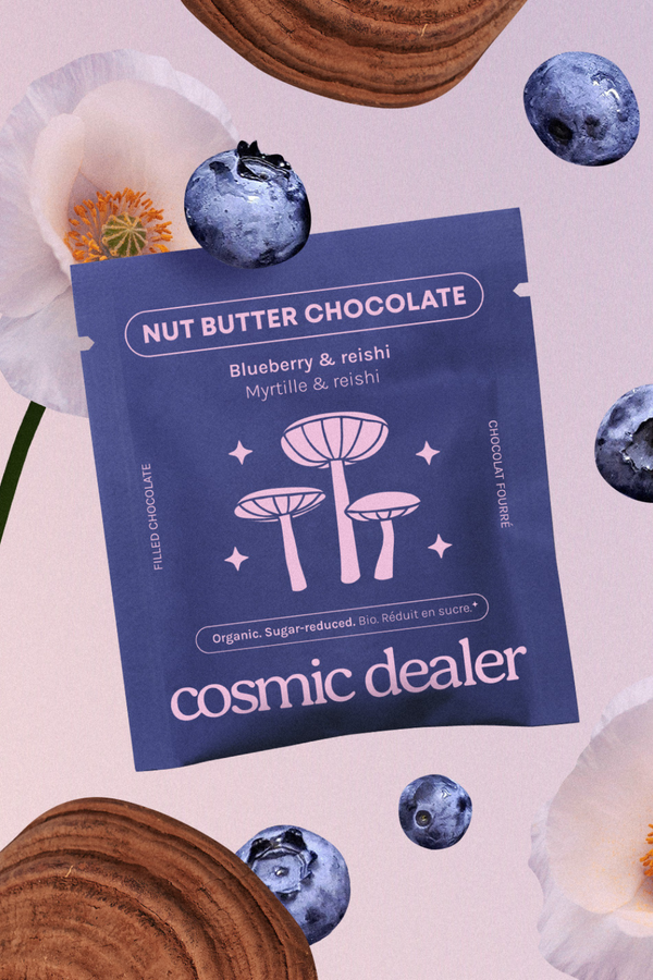 Blueberry & Reishi Nut Butter Chocolate