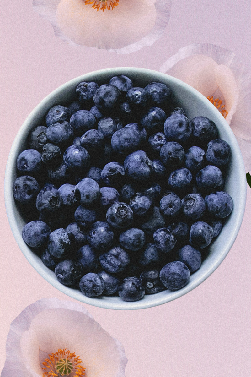 Blueberry & Reishi Nut Butter Chocolate